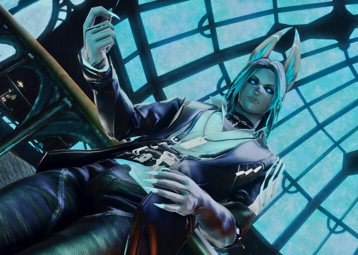 Vanaux Don'ish (Buntender)